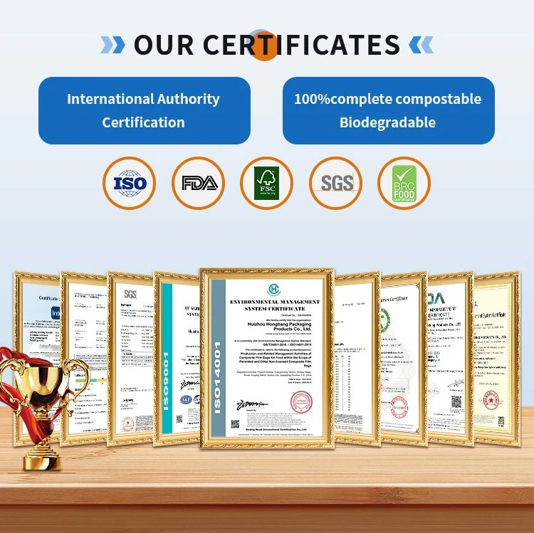 005 Certification.jpg 005 Certification.jpg